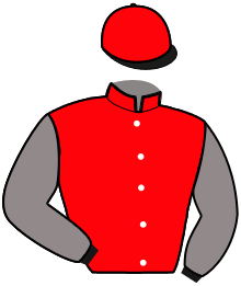 Casaque de MEYDAN VOIRONS