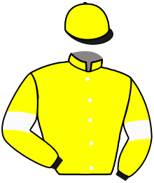 Casaque de LA LOUISIANE