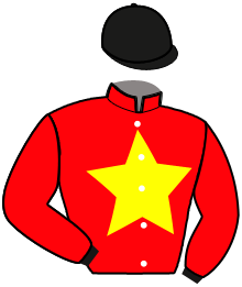 Casaque de LEMON DROP