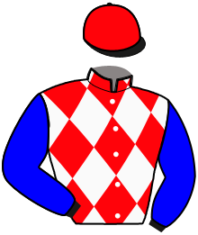 Casaque de MUSTANG DU POHOSE