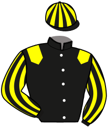 Casaque de JAGUAR BLEU