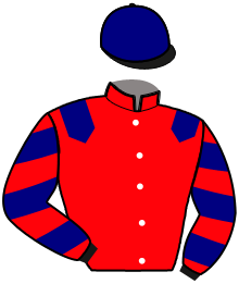 Casaque de GALOPIN DE CONDE