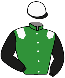 Casaque de DESERT SPRING