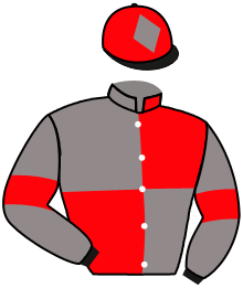 Casaque de LINGOT D'ARGENT