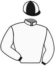 Casaque de ARCTYC DE TESE