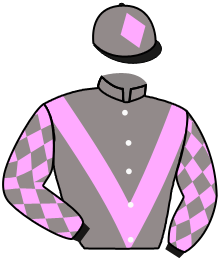 Casaque de DIMANCHE SOIR