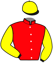 Casaque de NEMESIS JULMA