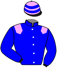 Casaque de JOE LOUIS