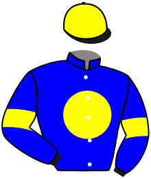 Casaque de GREY REIGN