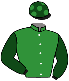 Casaque de YAUPON DE REPLAY