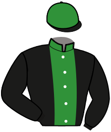 Casaque de NIEPCE GREEN