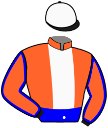 Casaque de NICE STEEL