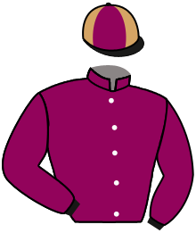 Casaque de PASTEL DE NATA