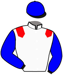 Casaque de JOHN STEED