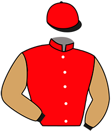 Casaque de ISIS D'HERFRAIE