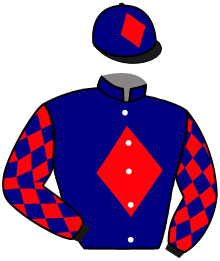 Casaque de TORINO DES ISLES