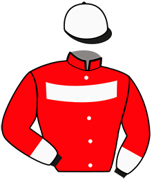 Casaque de NO LIMIT DARBY