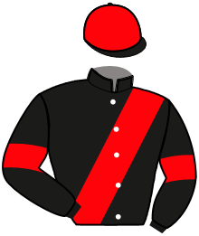 Casaque de JOKE DU HOUSSEL