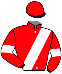 Casaque de KING DE FOURCHES