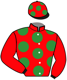 Casaque de HIBISCUS NORMAND