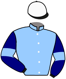 Casaque de RB BURN THE BILL (AR)