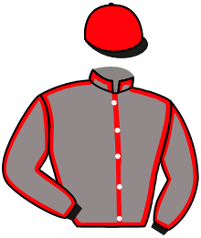 Casaque de KING KARA