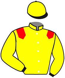 Casaque de FLAMINGWAY