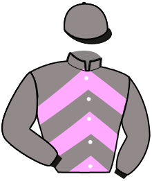 Casaque de NEVER WOOD