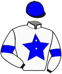 Casaque de IMZARA VALIERE