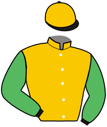 Casaque de SAINT ELIGIUS