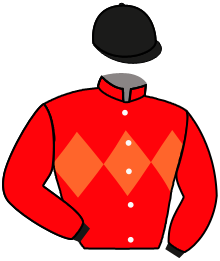 Casaque de VOYAGE OLYMPIQUE