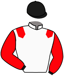 Casaque de GO TO BATTLE