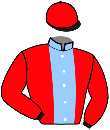 Casaque de ILLEGITIME PRINCE