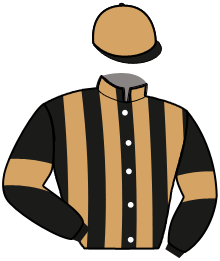 Casaque de MAX MANUS