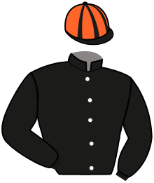 Casaque de JEU MYSTIC