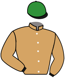 Casaque de ROYAL LOUIS HAS