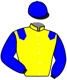 Casaque de RESOLUTION