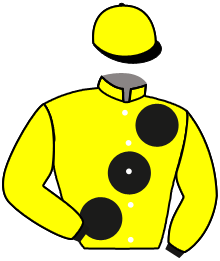 Casaque de HIRAETH