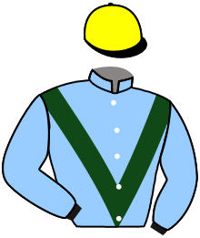 Casaque de ALTIAMA