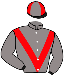 Casaque de EL TIGRE