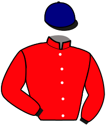 Casaque de KINGALO DU CHENE