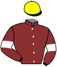 Casaque de JERENAL D'HAMELINE