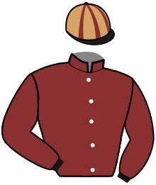 Casaque de MARQUIS DU SAPHIR