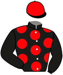 Casaque de FOX TROT