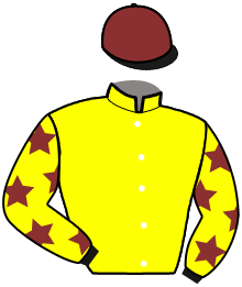 Casaque de LEADER DE MARZY