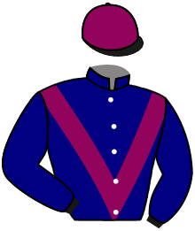 Casaque de IRONICO
