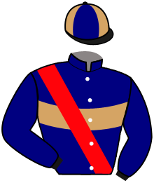 Casaque de PRINCE DES VILLES