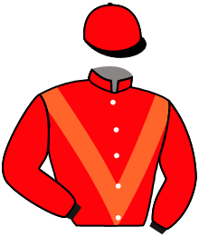 Casaque de JOYVOL