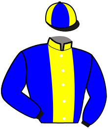 Casaque de NEVER GIVE UP PACE