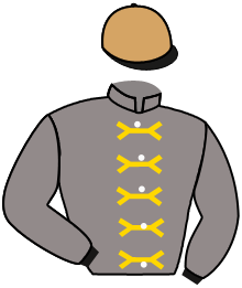 Casaque de SHAYEG